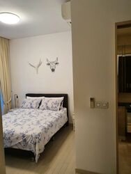 The Boutiq (D9), Apartment #325823841